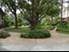 SunBlossom at Woodlake - Exterior - Photo 4 of 4