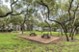 Marquis at Deerfield - Picnic Area - Photo 5 of 21