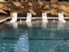 Overture Arboretum - Pool - Photo 6 of 29
