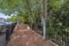Ace - Dog Park - Photo 8 of 26