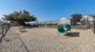 Springs at Live Oak - Dog Park - Photo 7 of 20