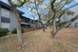 Henley Park - Exterior - Photo 2 of 25