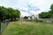 Mylo - Dog Park - Photo 7 of 14
