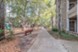Forest View - Exterior - Photo 3 of 9