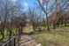 Blanco River Lodge - Exterior - Photo 6 of 47