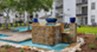 Mia LXMI Westchase West - Pool - Photo 5 of 22