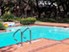 Silver Oaks - Pool - Photo 8 of 19