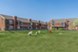 16Ten East - Dog Park - Photo 8 of 16