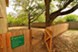 Pecan Creek - Dog Park - Photo 3 of 7
