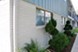 Blue Bird - Exterior - Photo 4 of 20