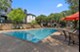 Harlowe Luxury Living - Pool - Photo 7 of 40
