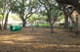 Parc at Wall Street - Dog Park - Photo 4 of 22