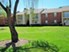 Willow Tree - Exterior - Photo 8 of 23