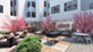 Park Place Arlington - Courtyard - Photo 7 of 30