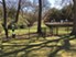 Atlantic at Kessler Park - Dog Park - Photo 4 of 14