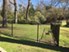 Atlantic at Kessler Park - Dog Park - Photo 3 of 14