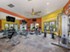 Artesian on Westheimer I - Fitness - Photo 6 of 9