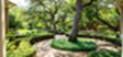 MAA Canyon Creek - Courtyard - Photo 3 of 14