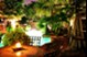 Verandah Bungalows - Pool - Photo 4 of 25