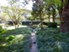 Fairfax - Courtyard - Photo 3 of 8