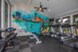 Grove - Fitness - Photo 6 of 21