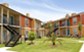 Palms at Cypress Station - Exterior - Photo 4 of 10