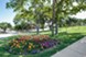 Vine - Exterior - Photo 8 of 56