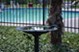 Turtle Creek - Pool - Photo 6 of 14