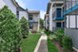 Pine Forest - Exterior - Photo 4 of 26