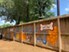 2121 Ella - New Dog Run Art - Photo 4 of 27
