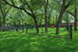 Del Prado at Texas Star - Del Prado Bark Park - Photo 8 of 18
