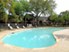 Palms on Rolling Creek - Pool - Photo 5 of 7