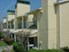 Palms at Cove View - Exterior 3 - Photo 3 of 6
