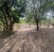 Blanco River Lodge - Back Area- Cleared - Photo 4 of 47