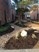Colony Uptown - Exterior - Photo 5 of 22