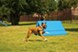 Estancia at Ridgeview Ranch - Dog Park - Photo 7 of 14
