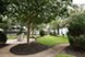 Green Tree Place - Courtyard - Photo 4 of 13