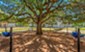 Retreat at Chelsea Park - Exterior - Photo 6 of 45