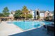 Carrington Place - Pool - Photo 5 of 24