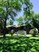 Gruenewood Villa - New Braunfels, TX - Photo 1 of 3