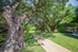 River Crossing Townhomes - Jogging Trail - Photo 5 of 13