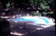 Windswept Gardens - Pool - Photo 4 of 9
