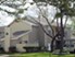 Windfern Meadows - Houston, TX - Photo 1 of 15