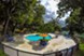 Westshore Colony - Pool - Photo 6 of 25