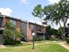 Woods on LaMonte - Exterior 4 - Photo 4 of 7