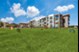 Birchstone Cedar Ridge - Dog Park - Photo 4 of 23