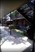 West 3855 - Courtyard - Photo 2 of 2