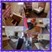 Oak Tree East - 1/1 Collage - Photo 7 of 18