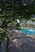 Park on Whitehurst - Pool - Photo 4 of 12