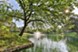 Village Meadow - Water View - Photo 5 of 15